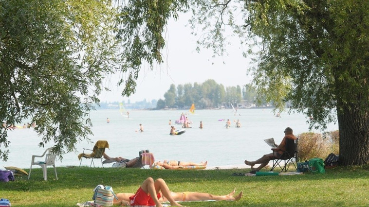Csillagosok a Balatonföldvári Strandok