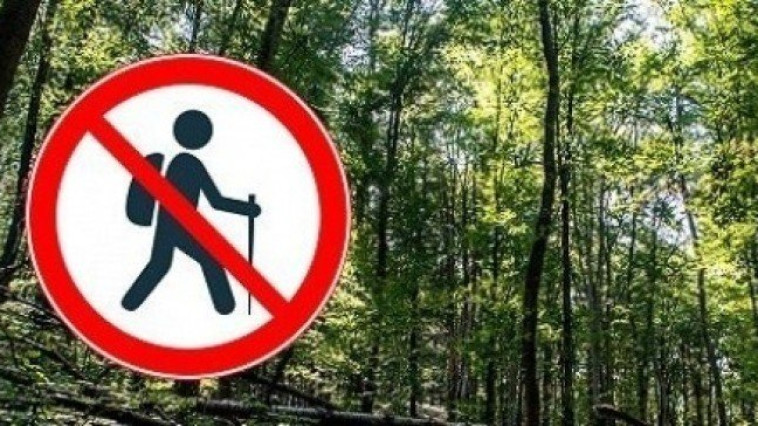 Erdőlátogatási Tilalom