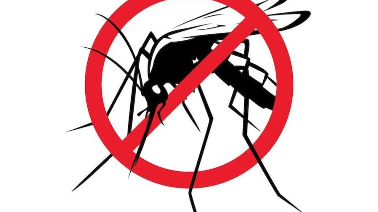 ÉRTESÍTÉS SZÚNYOGGYÉRÍTÉSRŐL