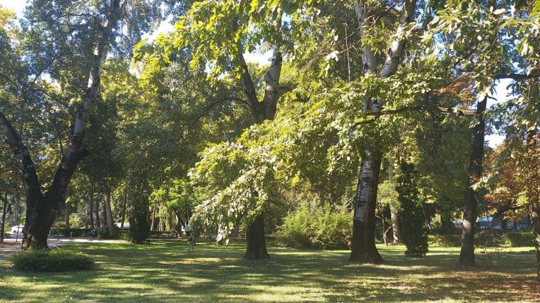 FELHÍVÁS- ADJON NEVET A SZIVATTYÚ PARKNAK