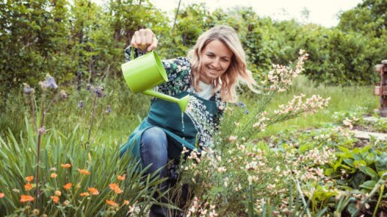 FELHÍVÁS-VIRÁGOSÍTÁSI VERSENYRE