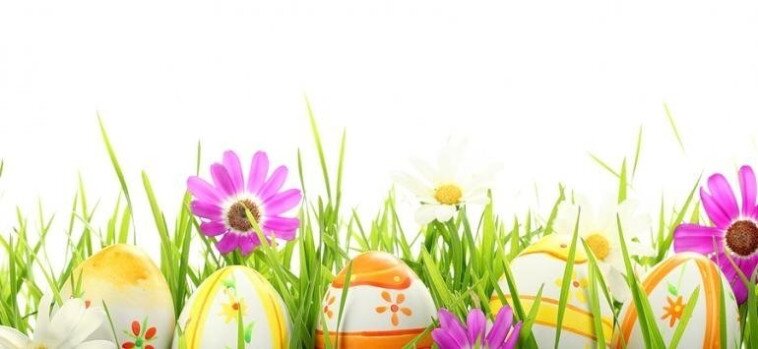 Húsvéti üdvözlet!
