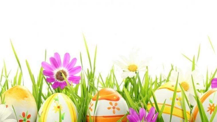 Húsvéti üdvözlet!