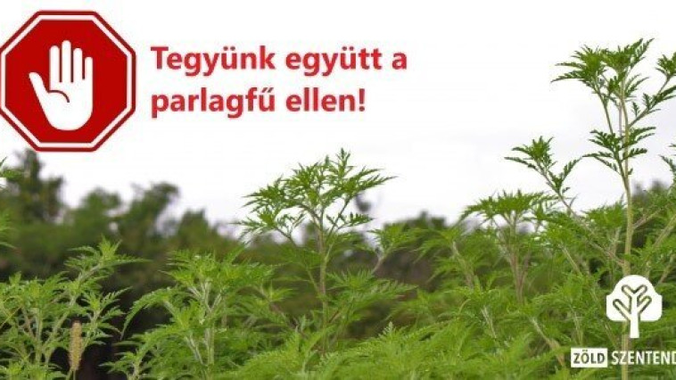 KEZDŐDIK A PARLAGFŰSZEZON – A VÉDEKEZÉS KÖZÖS ÉRDEKÜNK