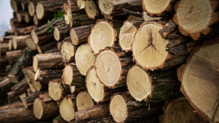 KÖZEL A DUPLÁJÁRA EMELTÉK A SZOCIÁLIS TŰZIFAKERETET VÁROSUNKBAN 