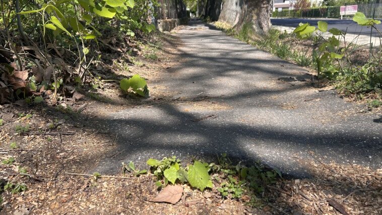 MEGÚJUL A KŐRÖSHEGYI ÚT JÁRDASZAKASZA-ÁTADTÁK A MUNKATERÜLETET