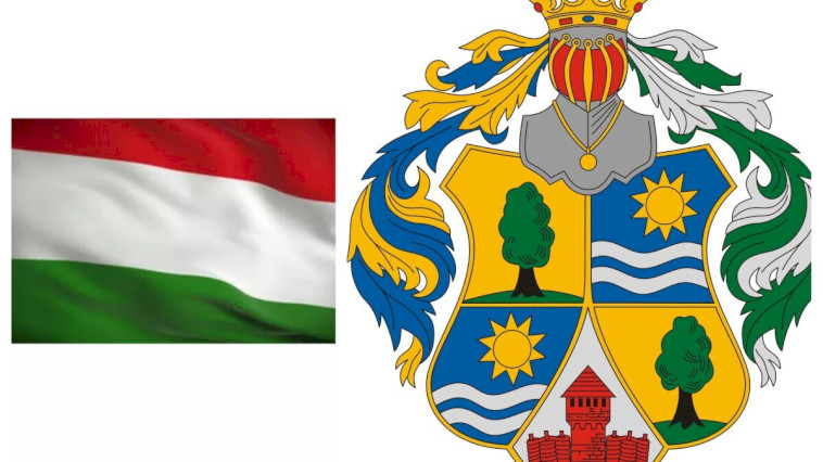 NYILATKOZAT
