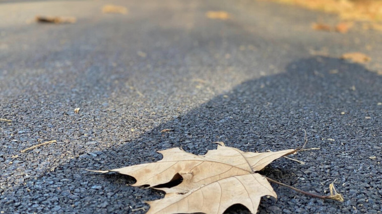 ​ŐSZI ÚTFELÚJÍTÁSOK