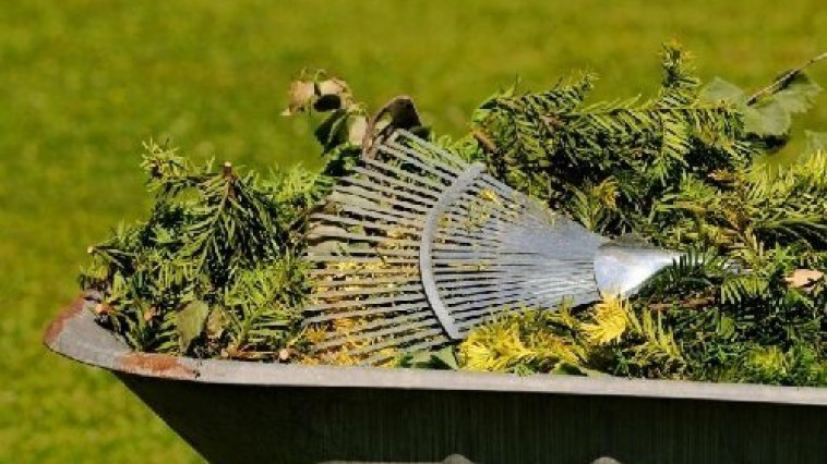 Tájékoztatás Balatonföldvár zöldhulladék szállítási rendjéről