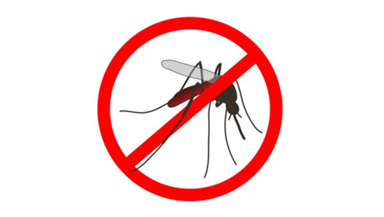 Tájékoztatás Szúnyoggyérítésről