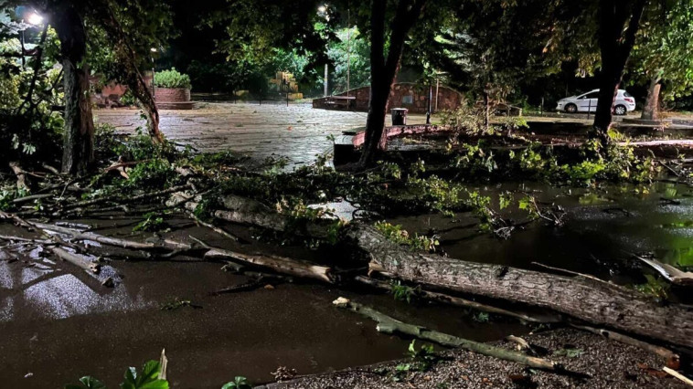 TAROLT A VIHAR VÁROSUNKBAN IS