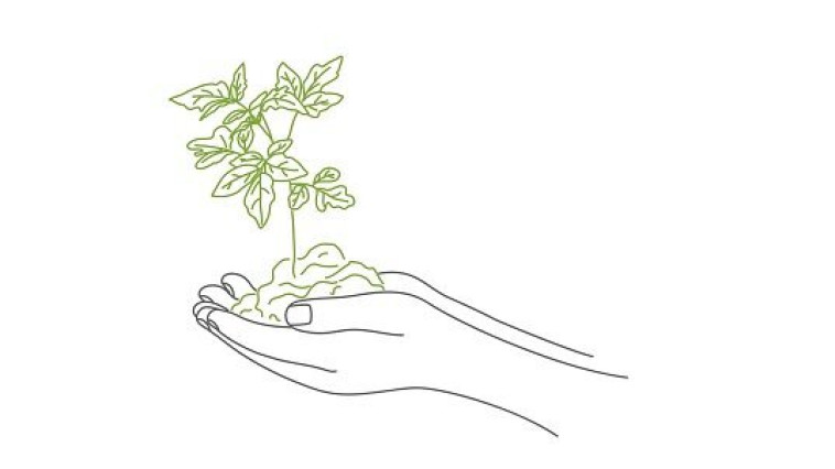 TELEPÜLÉSFÁSÍTÁSI PROGRAM