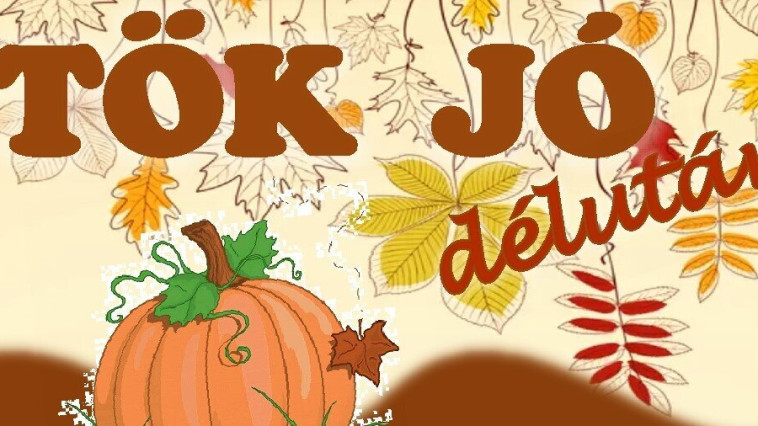 ​TÖK JÓ DÉLUTÁN A KÖZÖSSÉGI HÁZBAN