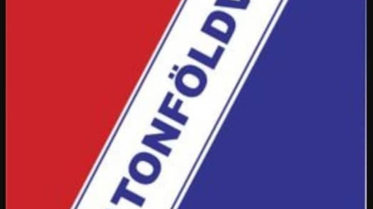 ÚJ TISZTSÉGVISELŐK A BALATONFÖLDVÁRI SPORTEGYESÜLETBEN