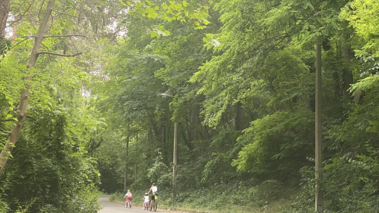 VIS-MAIOR PÁLYÁZATON NYERT TÁMOGATÁST VÁROSUNK A KEMPING UTCAI PARTFAL DECEMBERI KÁROSODÁSÁNAK HELYREÁLLÍTÁSÁHOZ